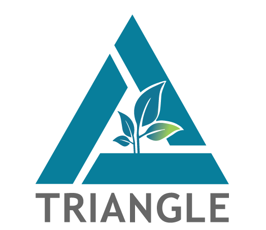 Triangle Associates