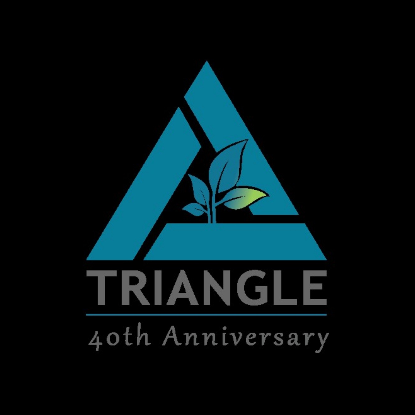 Decision making for a sustainable planet - a Triangle Associates Podcast