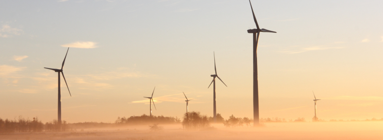 Windmills in a field